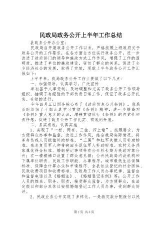 2024年民政局政务公开上半年工作总结