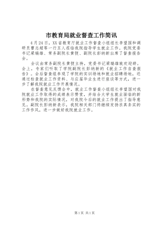 2024年市教育局就业督查工作简讯
