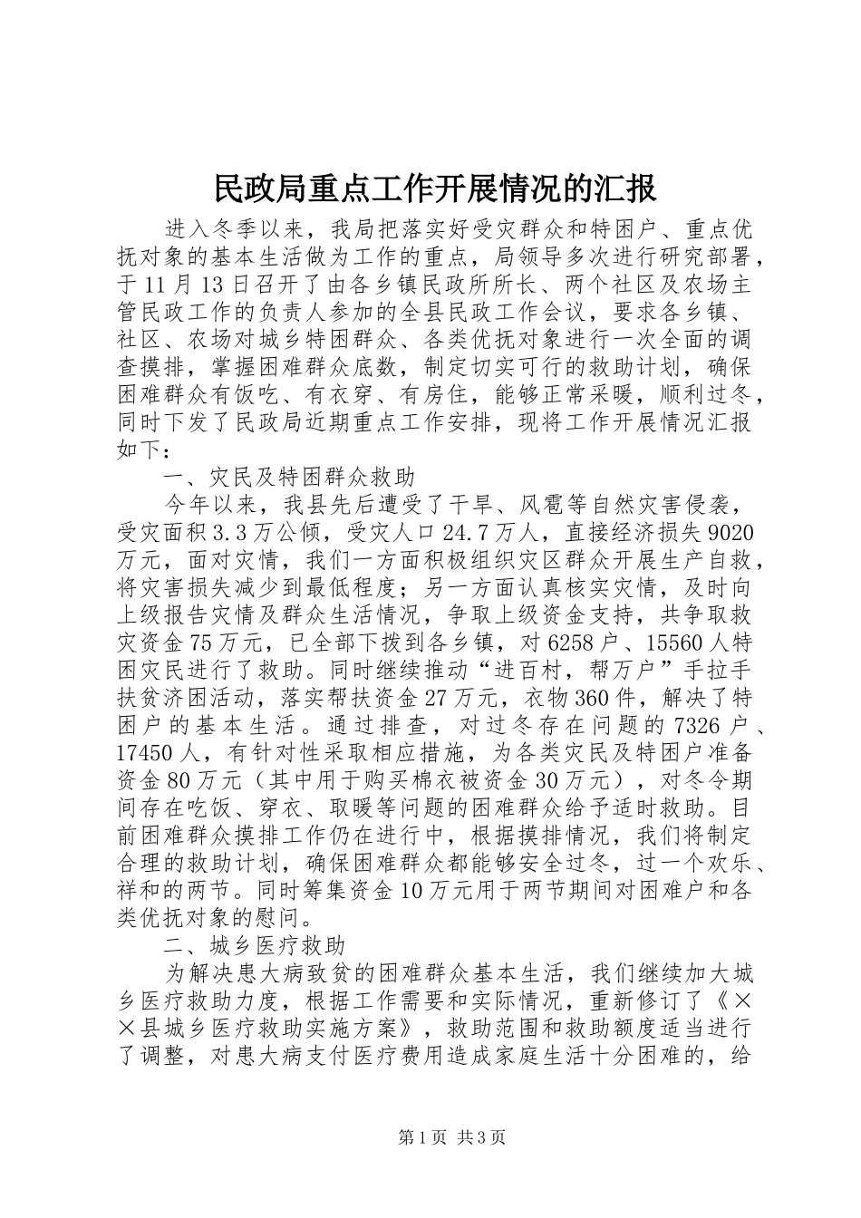 2024年民政局重点工作开展情况的汇报_第1页