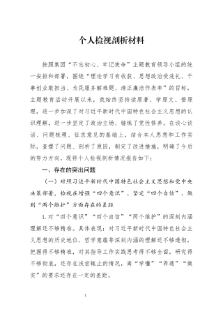 个人检视剖析材料(1)