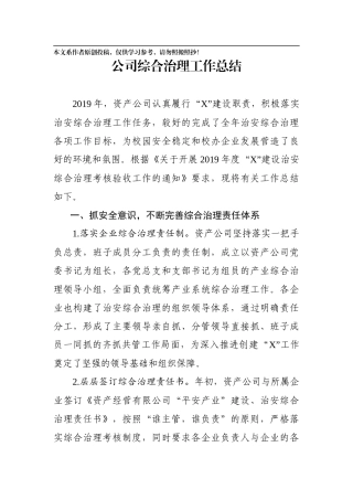 2019年资产公司综合治理总结