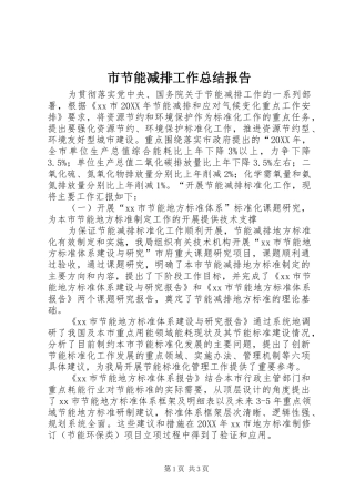 2024年市节能减排工作总结报告