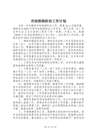 2024年市结核病防治工作计划