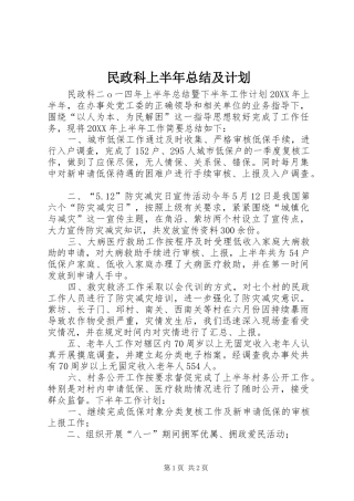 2024年民政科上半年总结及计划