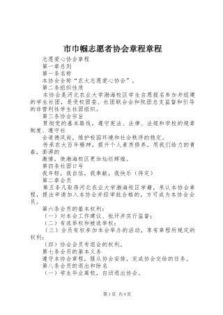 2024年市巾帼志愿者协会章程章程