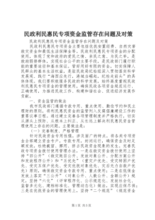 2024年民政利民惠民专项资金监管存在问题及对策