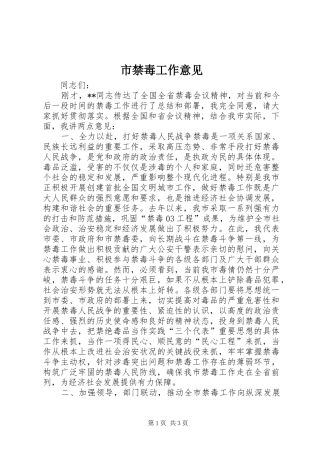 2024年市禁毒工作意见