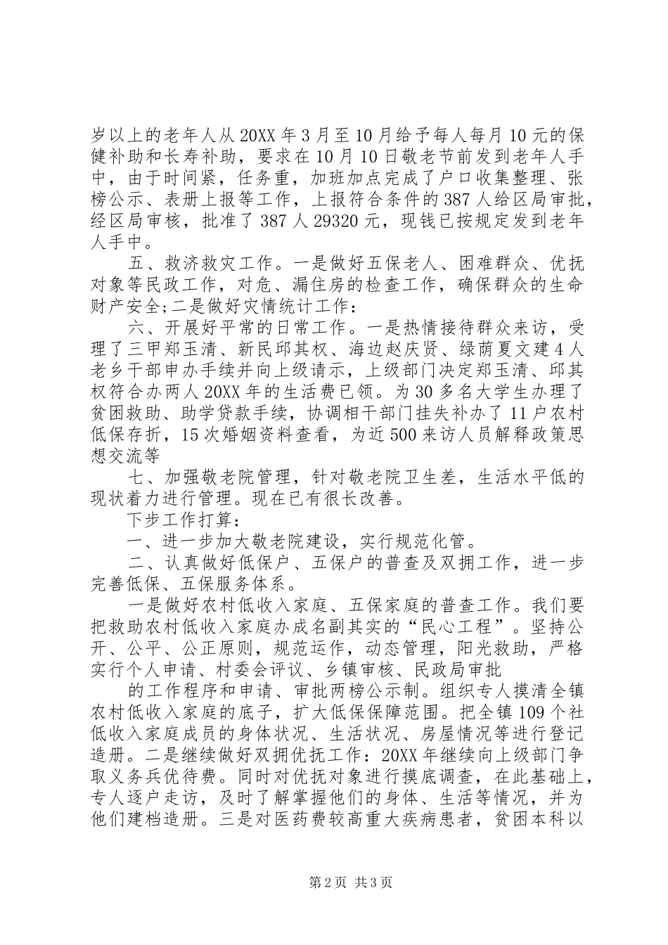 2024年民政所工作总结_第2页