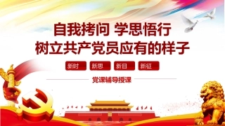 自我拷问 学思悟行——树立共产党员应有的样子