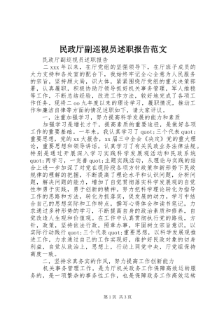 2024年民政厅副巡视员述职报告范文
