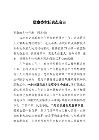 监察委员会主任表态发言