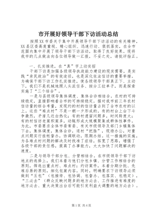 2024年市开展好领导干部下访活动总结