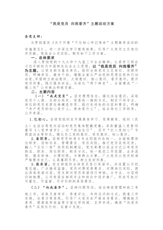 “我是党员 向我看齐”主题活动方案