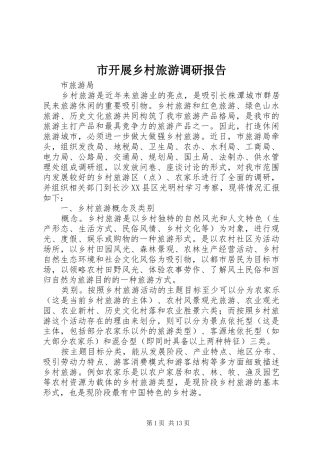 2024年市开展乡村旅游调研报告