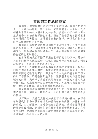 2024年实践部工作总结范文