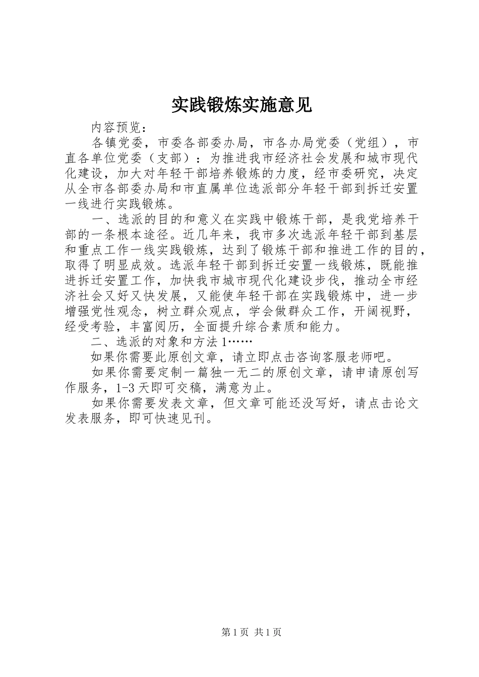2024年实践锻炼实施意见_第1页