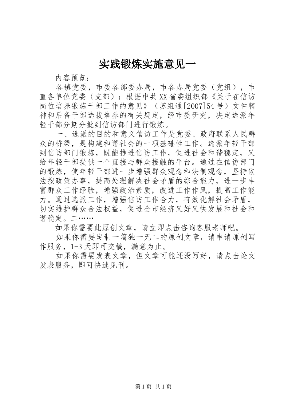 2024年实践锻炼实施意见一_第1页