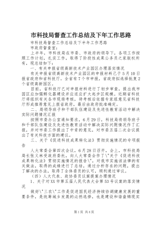 2024年市科技局督查工作总结及下年工作思路