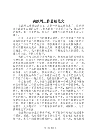 2024年实践周工作总结范文
