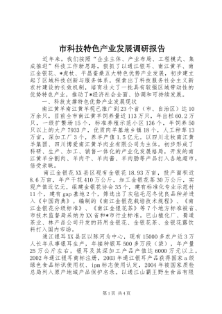 2024年市科技特色产业发展调研报告