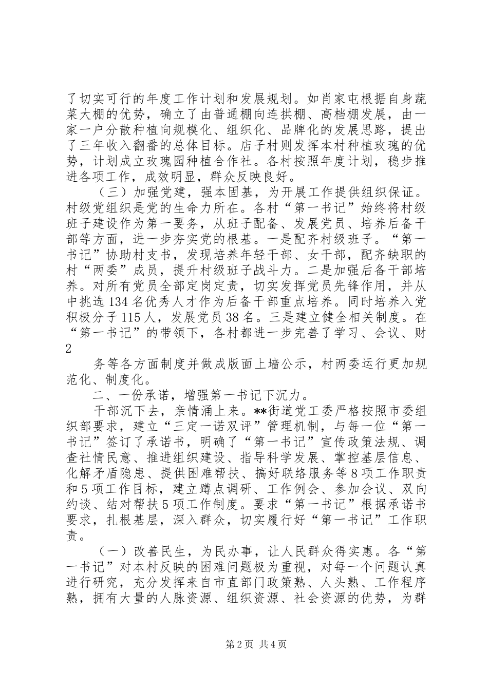 2024年实施第一书记三个一工程_第2页