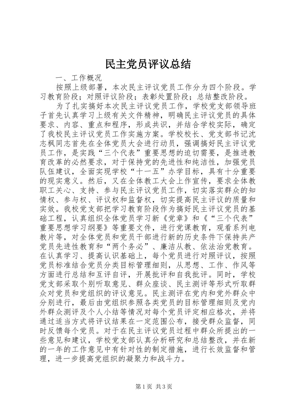 2024年民主党员评议总结_第1页