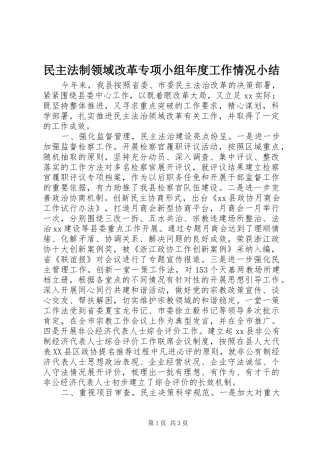 2024年民主法制领域改革专项小组年度工作情况小结