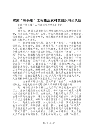 2024年实施领头雁工程激活农村党组织书记队伍