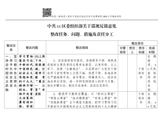 关于巡视反馈意见整改任务、问题、措施及责任分工(详表)