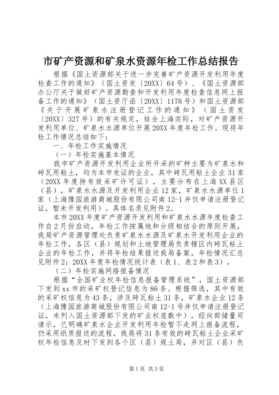 2024年市矿产资源和矿泉水资源年检工作总结报告_第1页