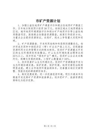 2024年市矿产资源计划