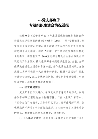 模版五：支部班子对照检查材料