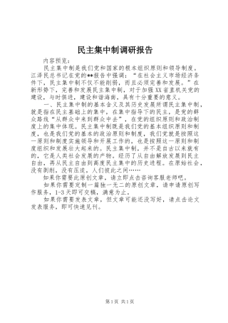 2024年民主集中制调研报告