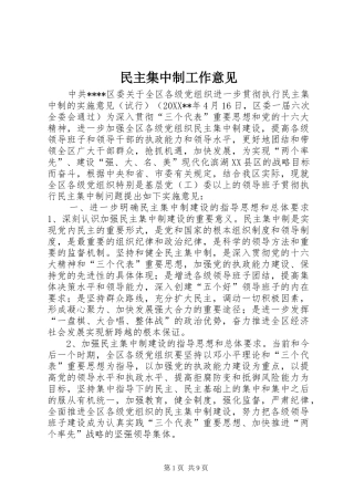 2024年民主集中制工作意见