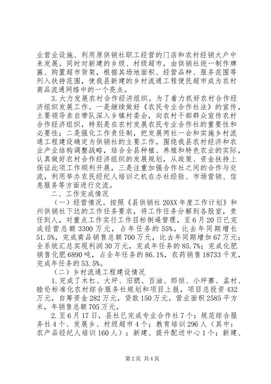 2024年实施乡村流通工程建设工作情况_第2页