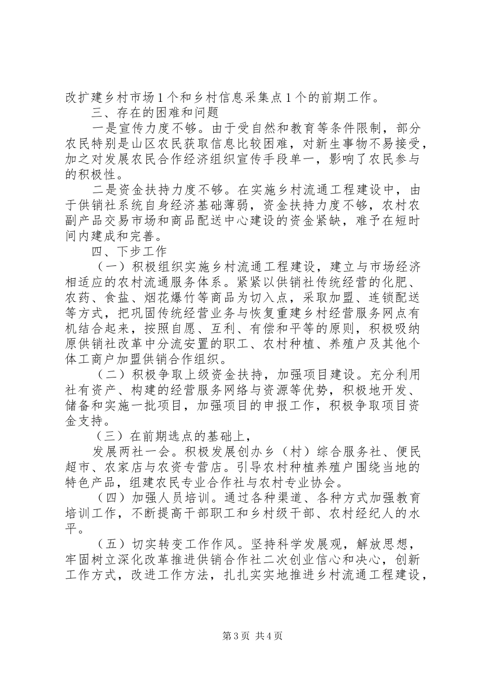 2024年实施乡村流通工程建设工作情况_第3页