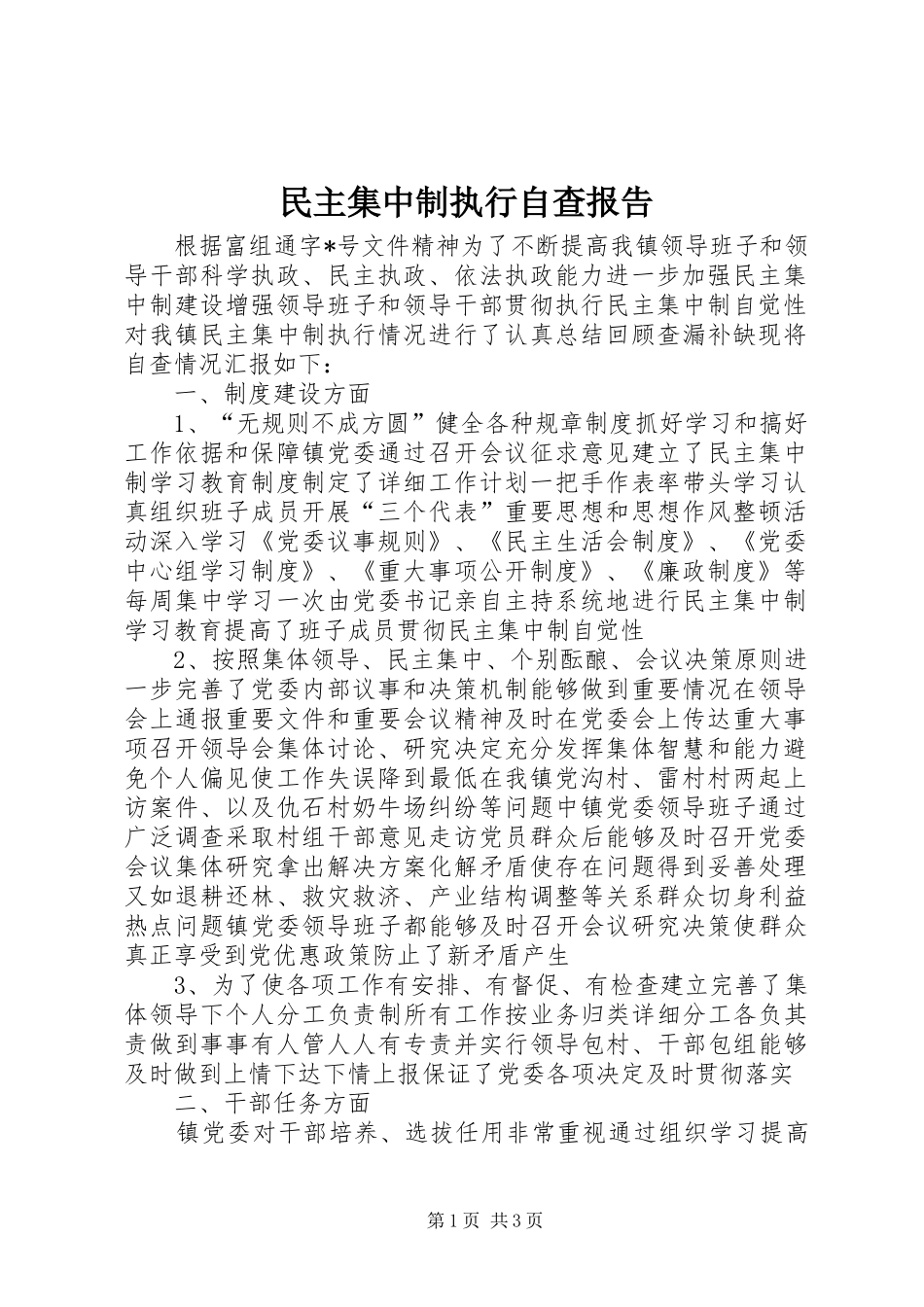 2024年民主集中制执行自查报告_第1页