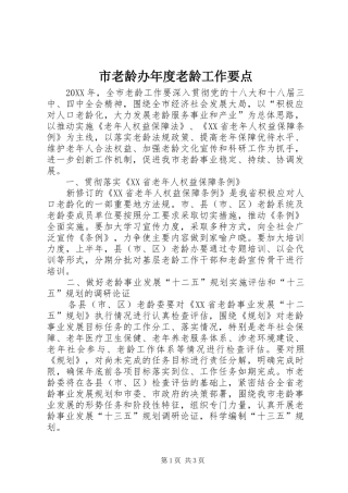2024年市老龄办年度老龄工作要点