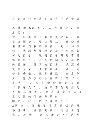 在宣布任职决定大会上的讲话