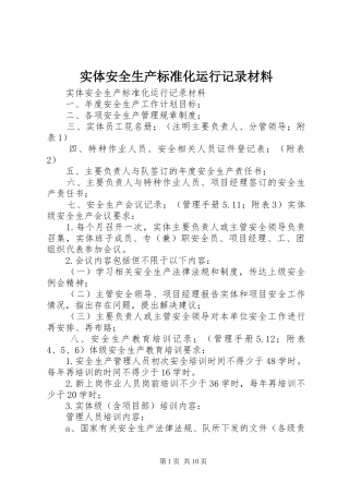 2024年实体安全生产标准化运行记录材料