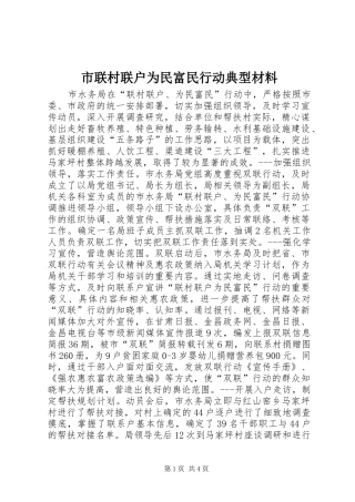 2024年市联村联户为民富民行动典型材料
