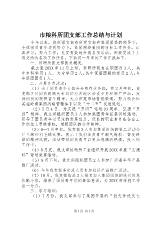 2024年市粮科所团支部工作总结与计划