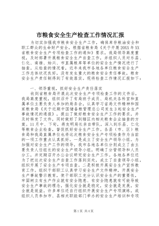 2024年市粮食安全生产检查工作情况汇报