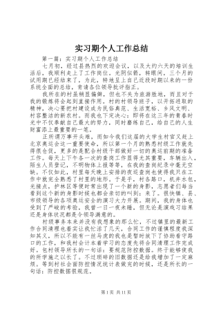 2024年实习期个人工作总结