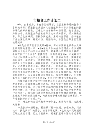 2024年市粮食工作计划二