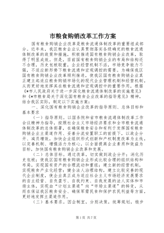 2024年市粮食购销改革工作方案