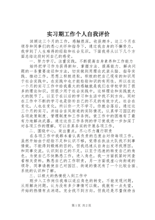2024年实习期工作个人自我评价