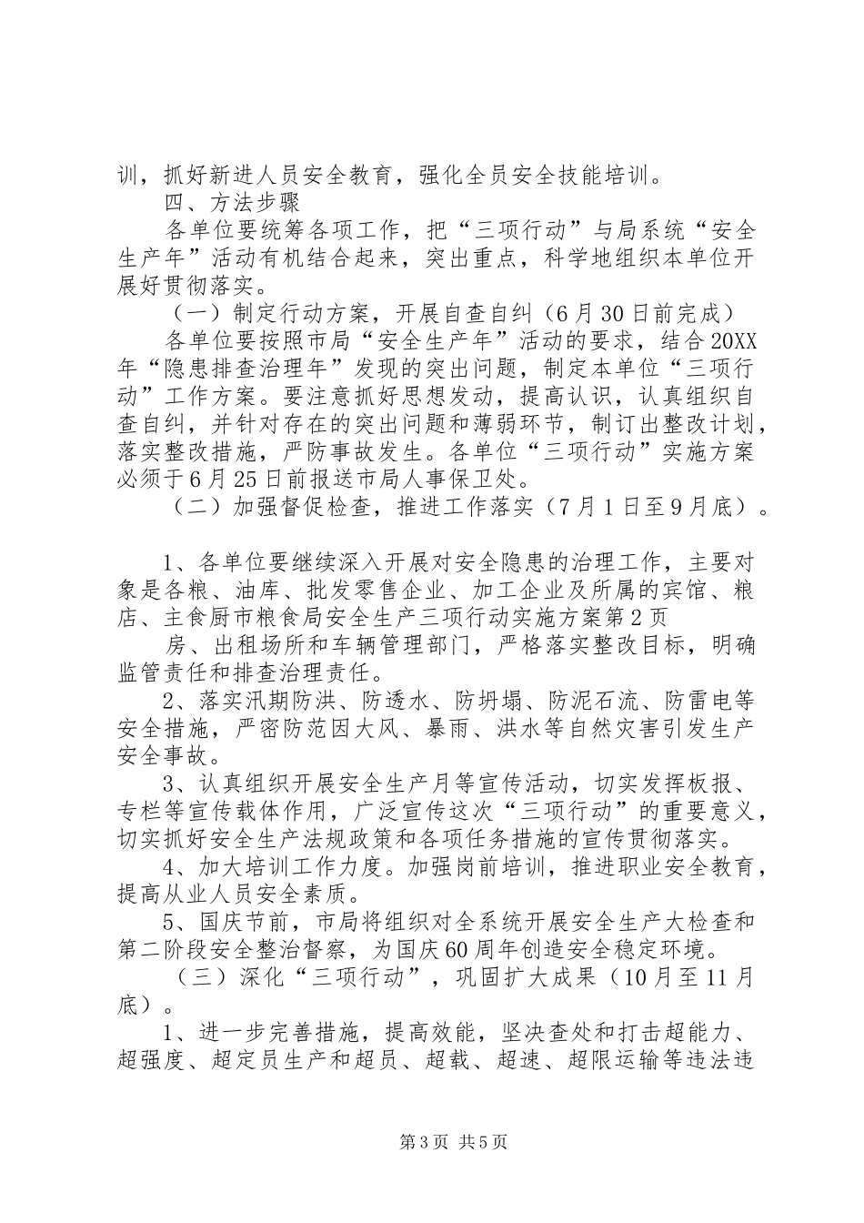 2024年市粮食局安全生产三项行动实施方案_第3页