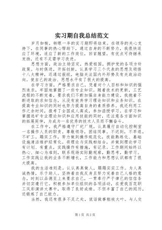 2024年实习期自我总结范文