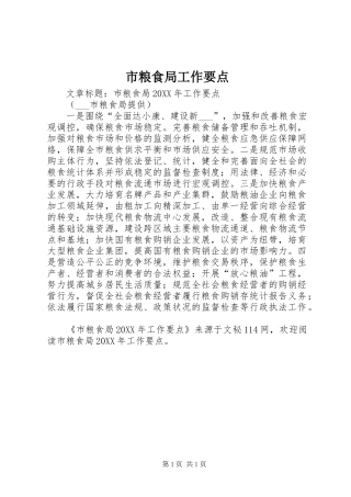 2024年市粮食局工作要点